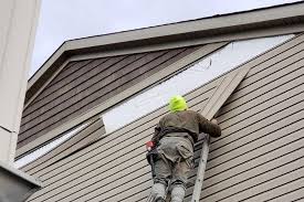 Best Insulated Siding Installation  in Weiser, ID